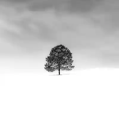 Picture for song 'Shall He Live Again (Words Of Job)' by artist 'John Matteson'