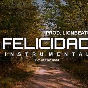 Picture for song 'Felicidad - Balada Romantica - Pop - Rock 2020' by artist 'Prod.LionBeats'