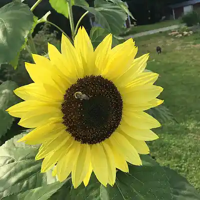 Picture for song 'Do It Again' by artist 'Loaded Zero'