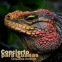 Picture for song 'El puente de los candados' by artist 'Orquesta Arrecife'