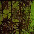 Picture for song 'Quiet Exultation (trial)' by artist 'Shyler Ford'