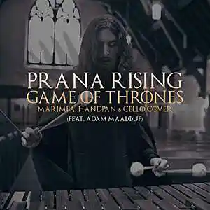 Picture for song 'Sonnerie Gratuite Game Of Thrones Marimba' by artist 'SonneriePortable'