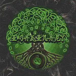 Picture for song 'CONUNDRUM' by artist 'Vice1Versa'