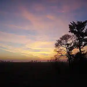 Picture for song 'Love Is King (RLJ TC)' by artist 'West Manchester'