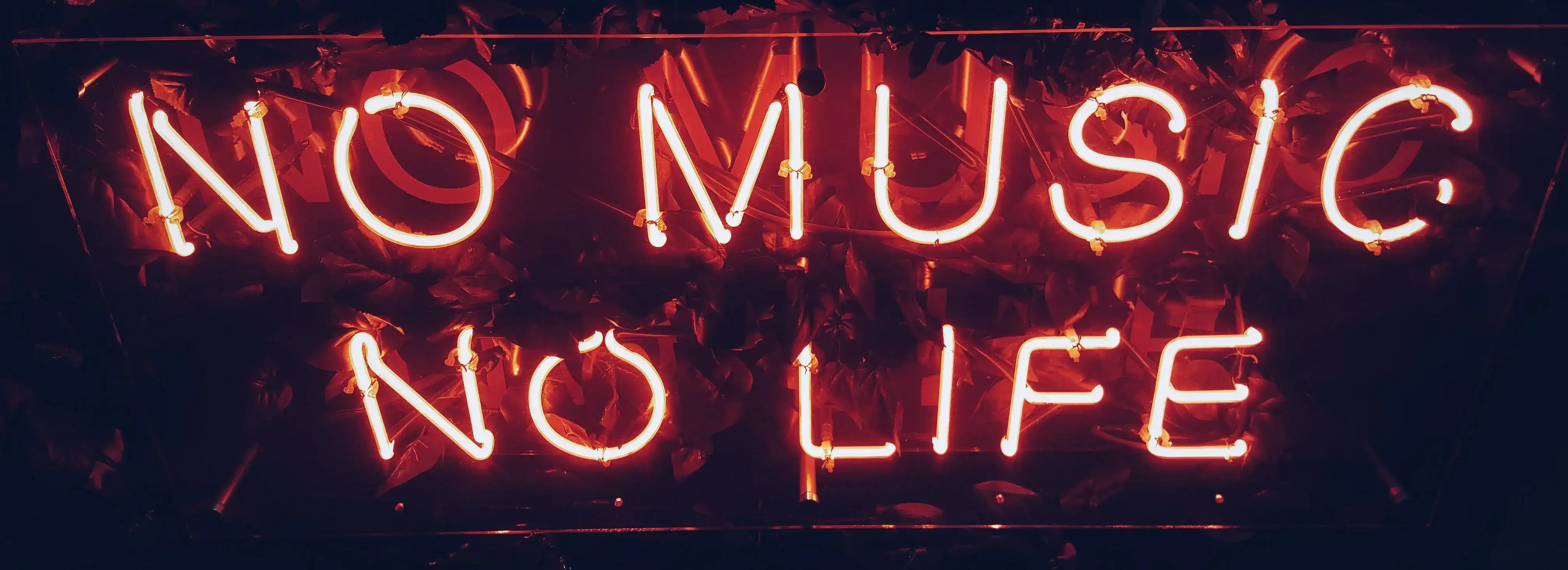 cover pic