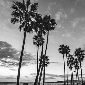 Picture for song '"Days Gone" - Boom Bap Classic Old School Rap Beat' by artist 'daix beats'