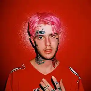 Picture for song '(FREE) "CRISIS" - Lil Peep X Lil Lotus Type Beat' by artist 'KIDMONKEY'