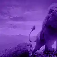 Picture for song '(NEW) King Lion ' by artist 'LEXI BANKS'