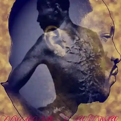 Picture for song 'THE PRICE IS RIGHT' by artist 'N.C.'