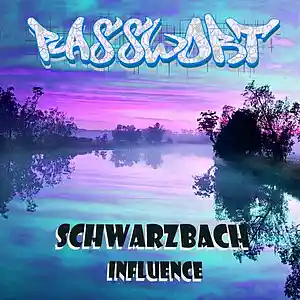 Picture for song 'Schwarzbach Influence (INTRO)' by artist 'PASSWORT 13-8'