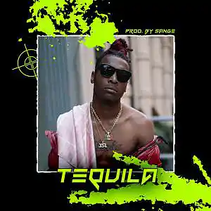 Picture for song 'Lil Gotit x Lil Keed x Lil Baby Type Beat-Tequila' by artist 'sange beats'