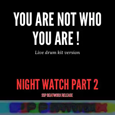 Picture for song 'Night Watch Part 2 (You are not who you are)' by artist 'SSP Beatworx'