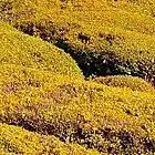 Picture for song 'The Yah'shua Project II: In That Day' by artist 'The Well is Deep'