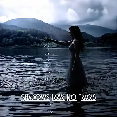 Picture for song 'Shadows Leave No Traces' by artist 'Norwrei'