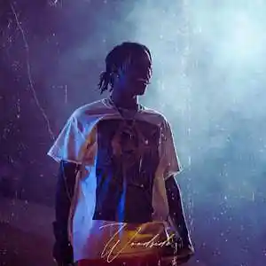 Picture for song 'Woodside - Multiply Skills' by artist 'Woodside Beatz'