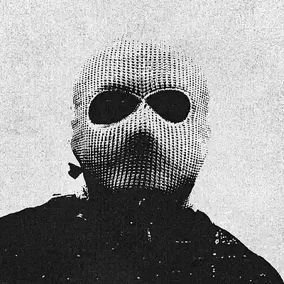 Picture for song 'She' by artist '017'
