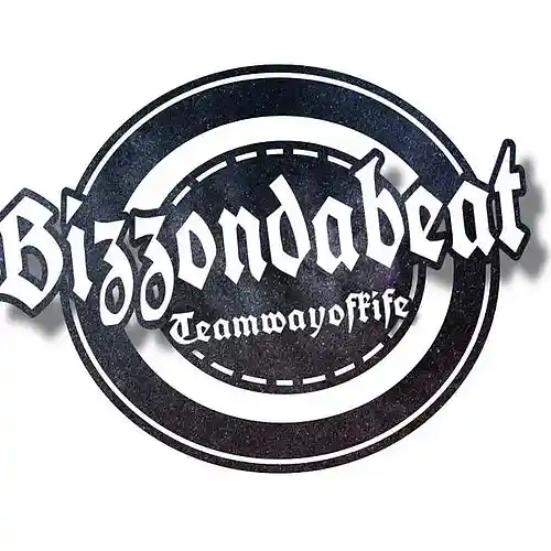 Picture for song 'cant' by artist 'bizzondabeat'