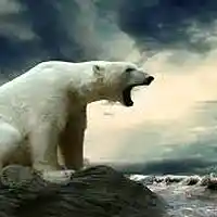 Picture for song 'Polar Bear Season - prodbykayready ' by artist 'Beats by KayReady'