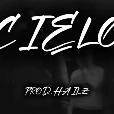 Picture for song 'BABY GANG X MORAD TYPE BEAT - Cielo' by artist 'BIG HAILZ'