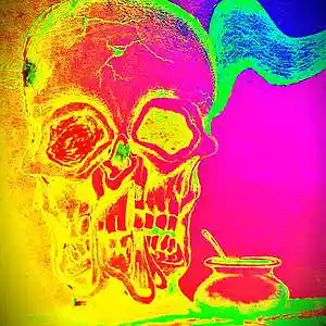 Picture for song 'BESERKER' by artist 'Decaying Orbit'
