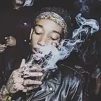 Picture for song 'Roll Up' by artist 'JVickz'