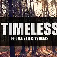 Picture for song 'OVO/Drake/ Bryson Tiller Type Beat Timeless' by artist 'Lit City Beats'