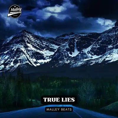 Picture for song 'TRUE LIES [HARD GUITAR ROCK/ TRAP BEAT]' by artist 'Malley Beats'