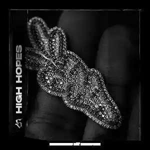 Picture for song '"High Hopes" Lil Durk Type Beat (BUY 1, GET 1 FREE' by artist 'SpitfireGotK'