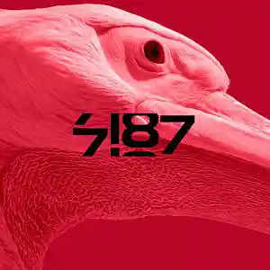 Picture for song 'Birds' by artist '7187'