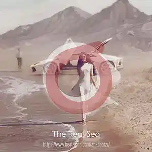Picture for song 'The Real Sea (BUY 1 GET 3 FREE)' by artist 'ankbeatzz'