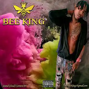 Picture for song 'Deceiving' by artist 'Ca'Ri Young'