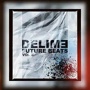Picture for song 'STYLE ON' by artist 'DELIME'