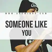 Picture for song 'Someone Like You (Instrumental)' by artist 'Dre Minor'