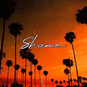 Picture for song 'Shame' by artist 'Frankenstein Beats'