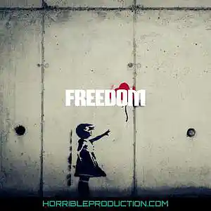 Picture for song 'Freedom' by artist 'Horrible production'
