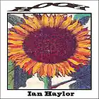 Picture for song 'More Than Ever' by artist 'Ian Haylor'