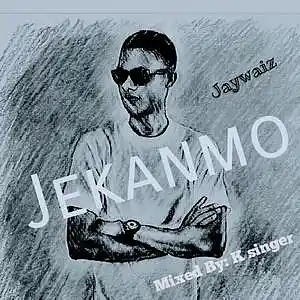 Picture for song 'Jaywaiz_ Jekanmo' by artist 'Jaywaiz'