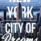 Picture for song 'Where Brooklyn At? (B.I.G.)!!!!!' by artist 'MrsRight'