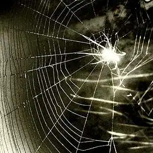 Picture for song 'spider' by artist 'naim09'