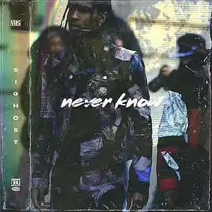 Picture for song 'Never Know' by artist 'SIGHOST'