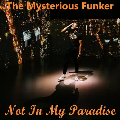 Picture for song 'Not In My Paradise' by artist 'The Mysterious Funker'