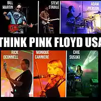 Picture for song 'BREATH COVER SONG' by artist 'THINK PINK FLOYD'