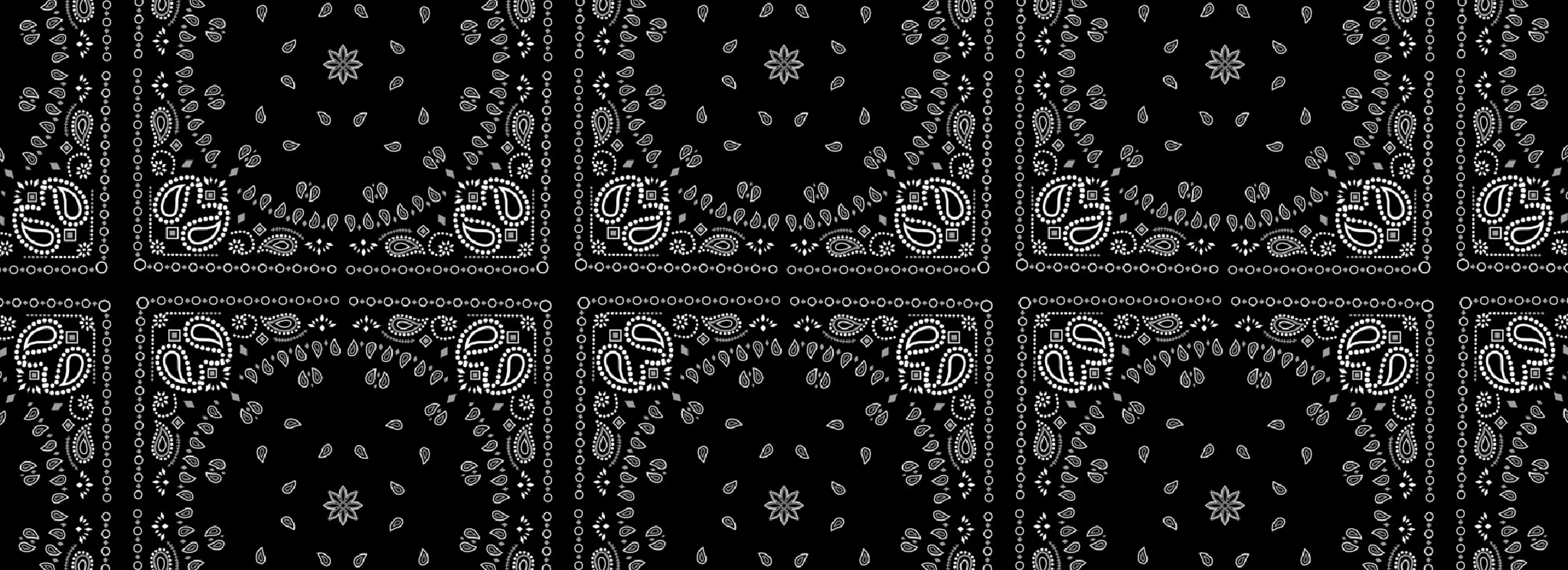 cover pic