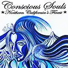 Picture for song 'Good Times' by artist 'Conscious Souls'