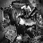 Picture for song 'Wildlife (Young Money)' by artist 'Cooarri'