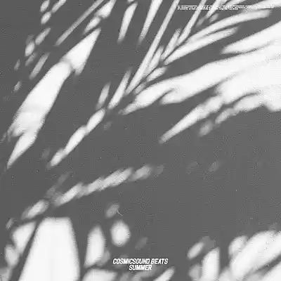 Picture for song 'Piano Type Beat - "Summer", Trap Type Beat' by artist 'COSMICSOUND BEATS'