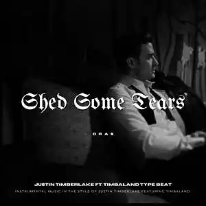 Picture for song '"Shed Some Tears" - Justin Timberlake 2000s Type' by artist 'Dras On The Beat'