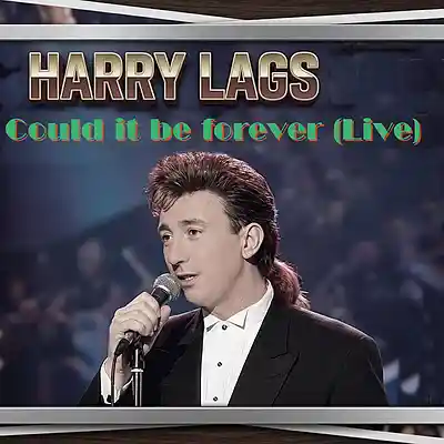 Picture for song 'Could It Be Forever (Live)' by artist 'Harry Laggs'