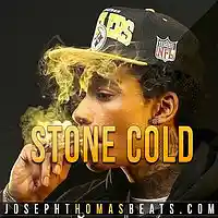 Picture for song 'Stone-Cold' by artist 'Joseph Thomas Beats'