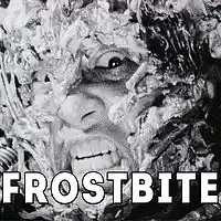 Picture for song 'Frostbite*WU TANG / JEDI MIND TRICKS TYPE*FREE DL' by artist 'Kannibal Beats'